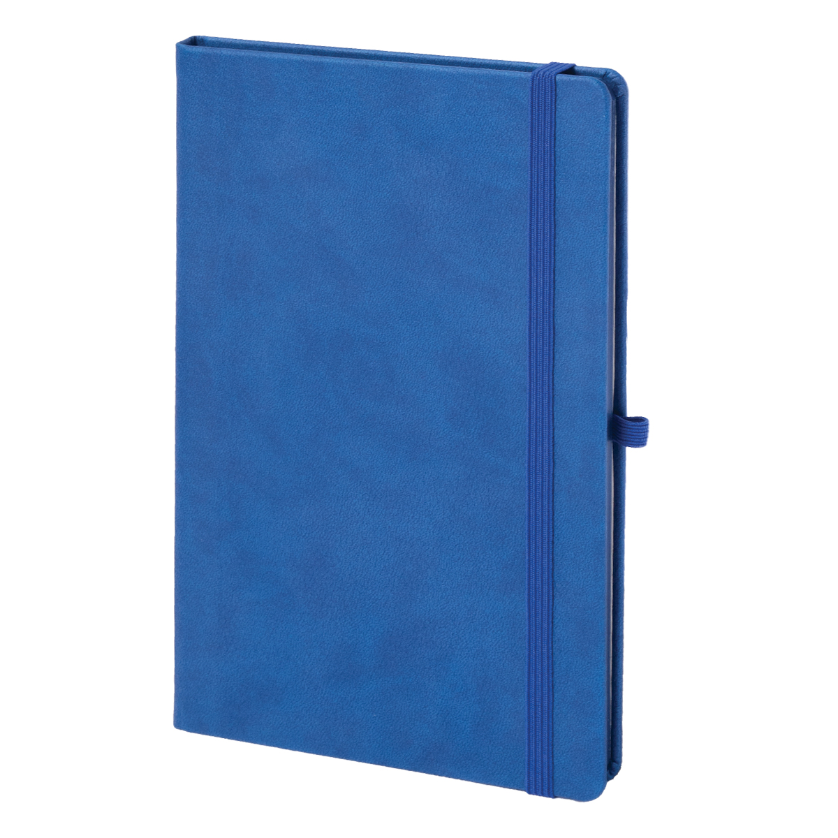 Tarihsiz Ekonomik Ajanda Defter - Resim 4